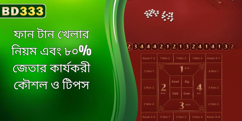 BD333-এ আকর্ষণীয় অনলাইন ফ্যান-ট্যান গেম