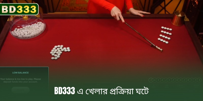 BD333-এ রোমাঞ্চকর গেমপ্লে এবং লাইভ গেমিং অভিজ্ঞতা