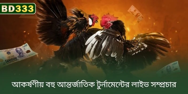 অনেক আকর্ষণীয় আন্তর্জাতিক টুর্নামেন্টের লাইভ সম্প্রচার