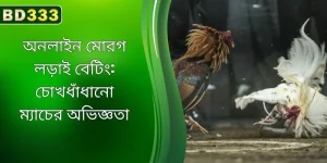 BD333-এ নজরকাড়া ম্যাচ সহ অনলাইন ককফাইটিং বেটিং অভিজ্ঞতা